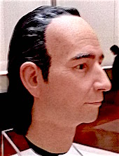 sidotti's head