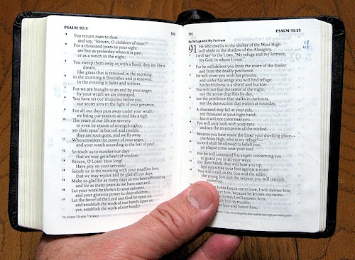 ESV pocket New Testament